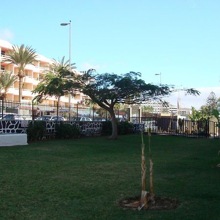 Los Cactus Playa del Ingles  Exterior foto